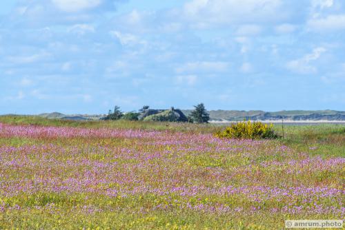 2019 amrum.photo a 019