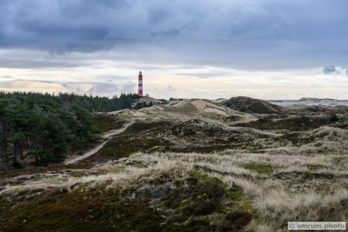 2023 amrum.photo a 025