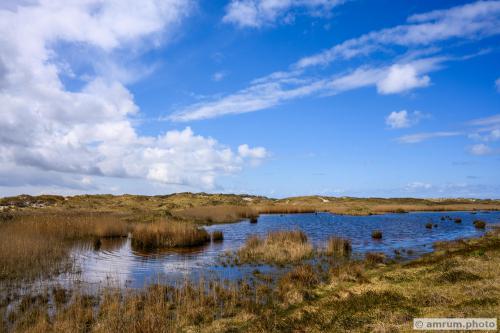 2023 amrum.photo a 027