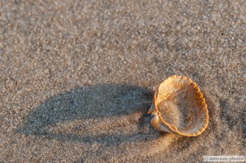 2014 amrum.photo sg 007